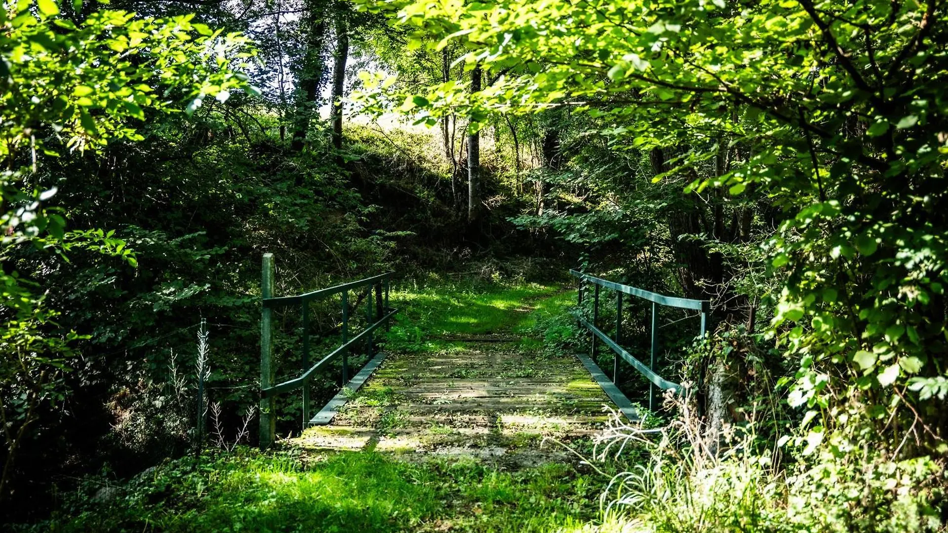 Belle Grange En Bord De Riviere Villa Serres-sur-Arget Frankrike